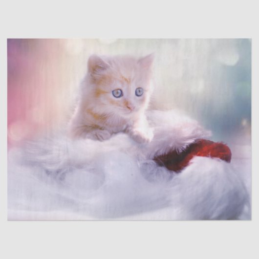 Cute Kerstmis Kitten Foto Tissuepapier (Voorkant)