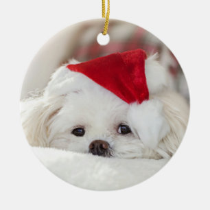 Cute KerstWhite Maltese puppy Dog Keramisch Ornament