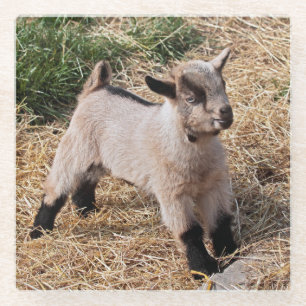 Cute Kid Glas Onderzetter