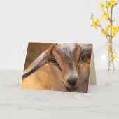 Cute Kind Goat gaat goed Kaart (Gele Bloem)