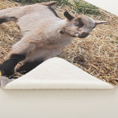 Cute Kind Sherpa Blanket Deken (3/4)