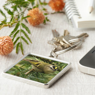 Cute Kinglet Songbird Causes Stir in de Fir Sleutelhanger