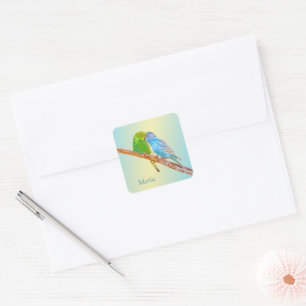 Cute kissans budgies - acrylvezel op pastelachterg vierkante sticker