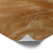 Cute Kit! Poster (Hoek)