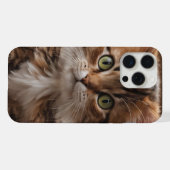 Cute Kitten (Verso Horizontal)