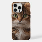 Cute Kitten (Verso)