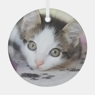 Cute Kitten 1 FotoCirkel Glas Ornament