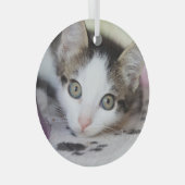 Cute Kitten 1 FotoCirkel Glas Ornament (Voorkant Rechts)