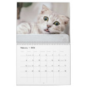 Cute Kitten And Cat Pet Photo Kalender (Feb 2026)