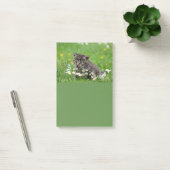 Cute Kitten Art Post-it® Notes (Kantoor)