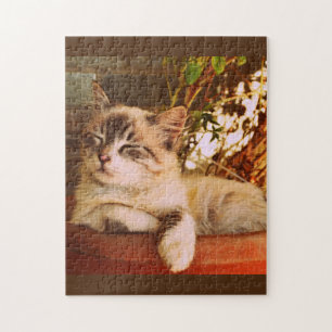 Cute Kitten Aslaap Legpuzzel