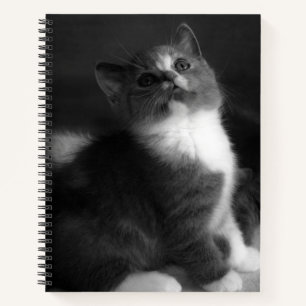 Cute Kitten Black en White Portret Photography Notitieboek