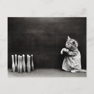 Cute Kitten Bowling Briefkaart