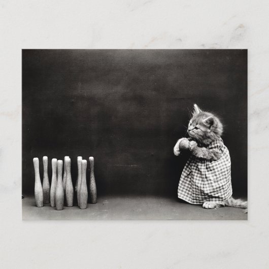Cute Kitten Bowling Briefkaart (Voorkant)