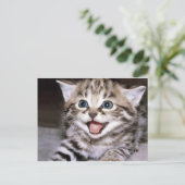 Cute Kitten Briefkaart (Staand voorkant)