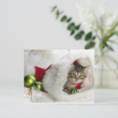 Cute Kitten Briefkaart (Staand voorkant)