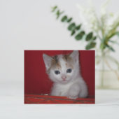 Cute Kitten Briefkaart (Staand voorkant)