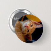 Cute Kitten Button (Voorkant /achterkant)