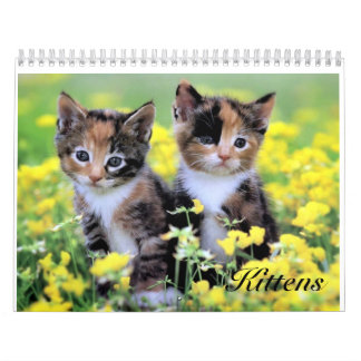 Cute Kitten Calendar Kalender