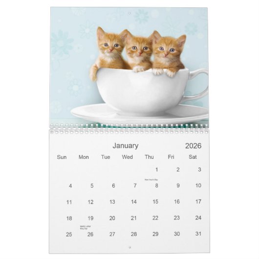 Cute Kitten Calendar Kalender (Jan 2026)