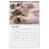Cute Kitten Calendar Kalender (Feb 2026)