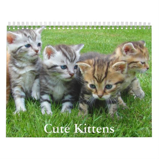 Cute Kitten Calendar Kalender (Hoes)
