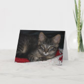 Cute Kitten Carte de remerciements (Devant)