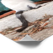 Cute Kitten die Mam's Til Funny Cat Foto achtervol Poster (Hoek)