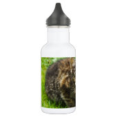 Cute kitten drink uit een kom waterfles (Links)