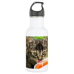 Cute kitten drink uit een kom waterfles