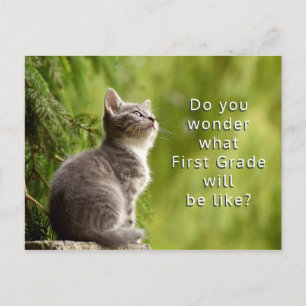 Cute Kitten Élémentaire Étudiants Bienvenue Carte 