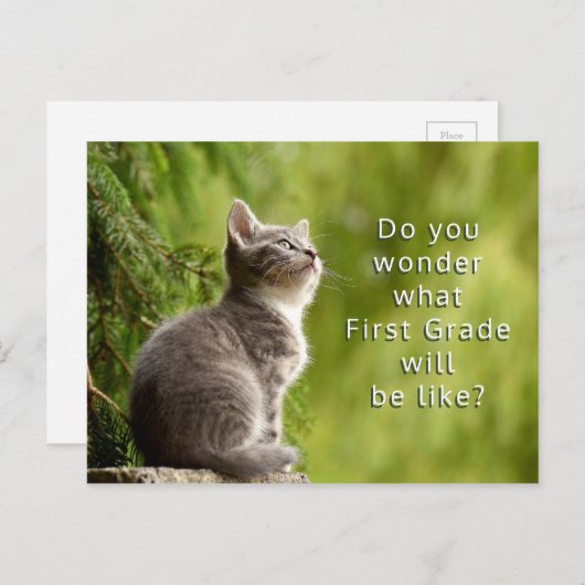 Cute Kitten Elementary Students Welcome Briefkaart (Voorkant / Achterkant)