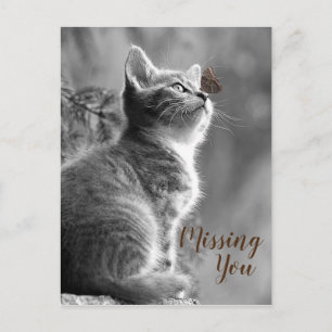 Cute Kitten en Butterfly Briefkaart
