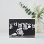 Cute Kitten Hanging Laundry Briefkaart (Staand voorkant)