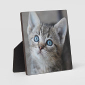 Cute Kitten in de tuin Fotoplaat (Voorkant)