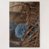 Cute kitten in een mand legpuzzel (Verticaal)