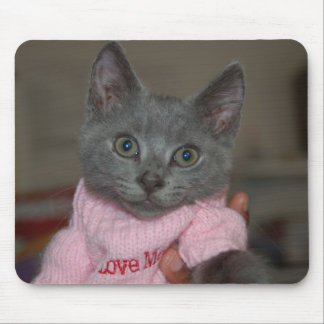 Cute Kitten in Sweater Muismat
