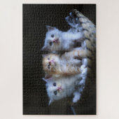Cute Kitten Legpuzzel (Verticaal)