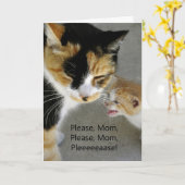 Cute Kitten Maman Bonne carte d'anniversaire (Fleur jaune)