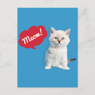 Cute Kitten Meow Caption Briefkaart
