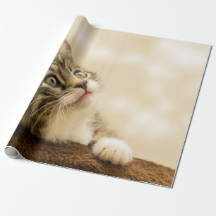 Cute Kitten met een uitgerekt paw Cadeaupapier