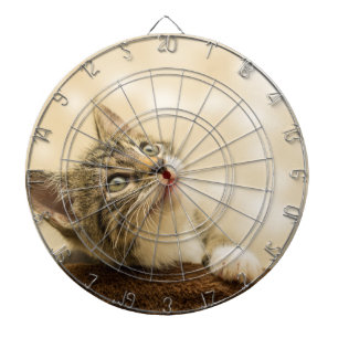 Cute Kitten met een uitgerekt paw Dartbord