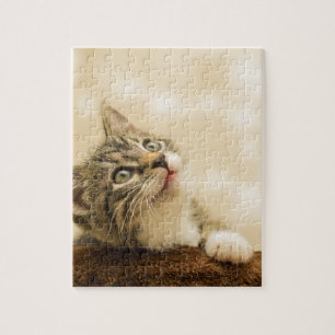 Cute Kitten met een uitgerekt paw Legpuzzel