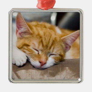 Cute Kitten Metalen Ornament