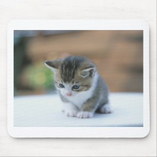 Cute Kitten Muismat