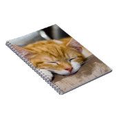 Cute Kitten Notitieboek (Rechterzijde)