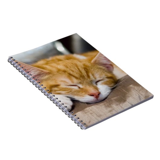 Cute Kitten Notitieboek (Rechterzijde)