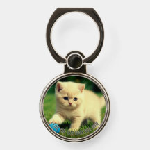 Cute Kitten Personalized "I Love You This Much"