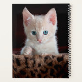 Cute Kitten Planner (Achterkant)