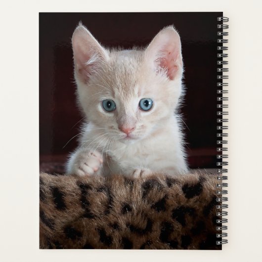Cute Kitten Planner (Achterkant)